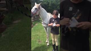 Horse surprise reaction!!