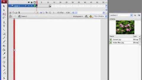 shapetween transition part1