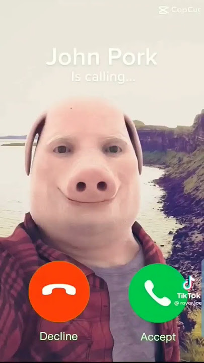 call johnnnn pork #pigs #shorts