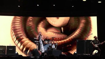 The Used - The Bird & The Worm (Live in HodgePodge SuperFest 2019) Allianz Ecopark Ancol