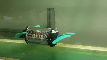 Underwater Robot - Closed-loop motor control - TalTech (Tallinn University of Technology)