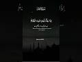 This surah about Victory from Allah comes; glorify and seek His forgiveness#trending #whatsappstatus