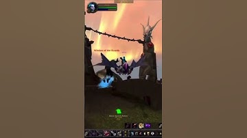 Joanas 1-60 Classic WoW Leveling Guides w/Addons 🧙‍♂️#wowgamer #shorts #addon