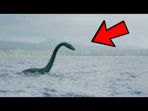 5 Loch Ness Monster Sightings Caught on Tape