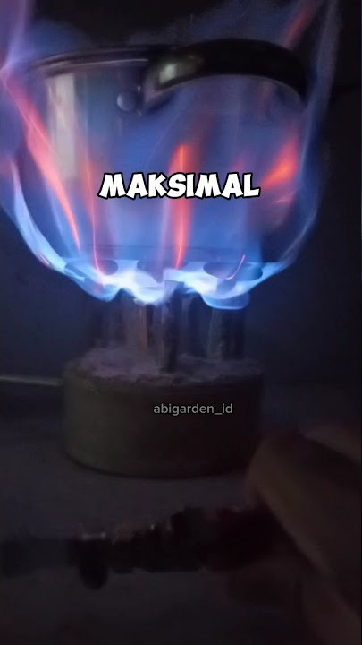 Potensi Sampah Organik Dalam Satu Kota #sampahorganik #biogas #sisadapur #kangpisman