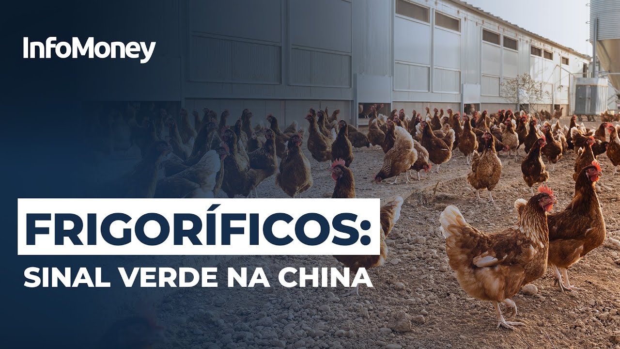 Novos frigoríficos são habilitados para exportar carne de frango à China