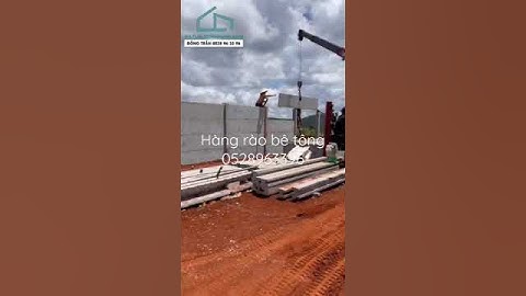 Hàng rào bê tông thì công đơn giản, giá rẻ #hangraolapghep