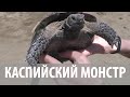 Путешествие в Кубачи  Каспийский Монстр, Кала Корейш и красивая горная дорога!