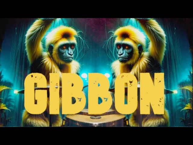 Toutes les vidéos