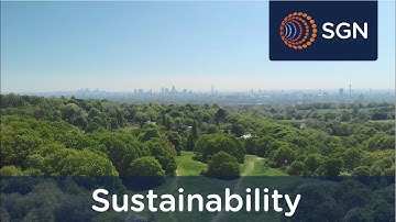 Our Environment Strategy is our commitment to a greener net zero future | Sustainability | SGN
