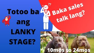 Totoo ba ang LANKY STAGE ng mga aso?