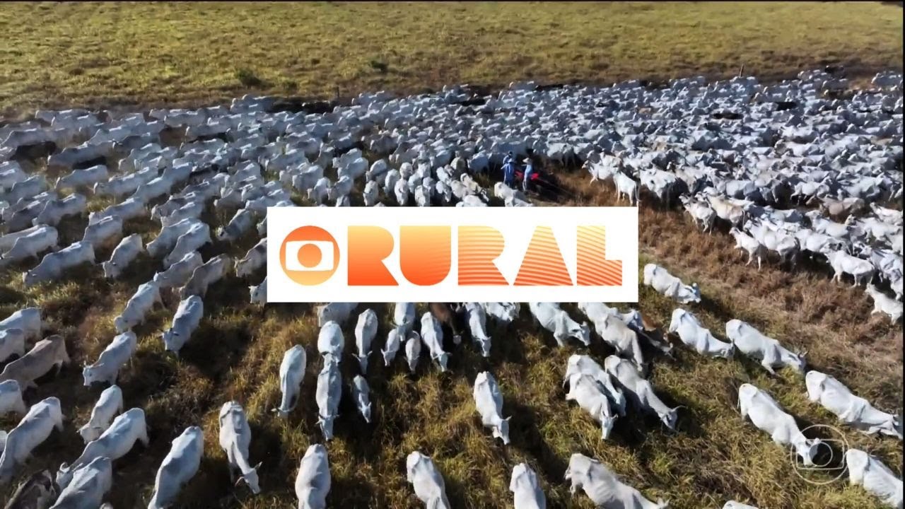 TOCANTINS Bate Recorde Com o Pastejo Ultradenso!