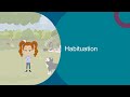 Sensory Processing In Children 4 6 Habituation Sensory Processing In Children 4 6 Habituation