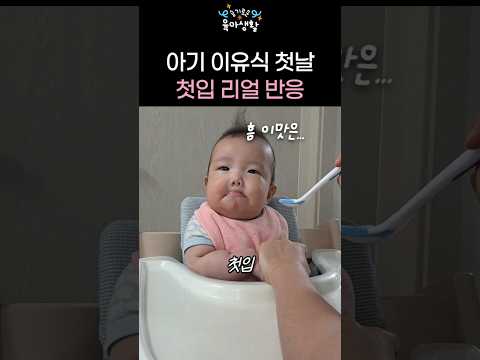 드디어 <strong>이유식</strong> <strong>시작</strong>! 첫입 반응은?🙈 #<strong>이유식</strong>