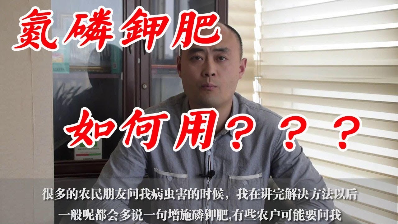 科学种田太重要 氮磷钾不是想怎么施就怎么施的 付老师种植技术团队 Youtube