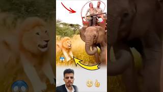 Sometimes An Animal May Sacrifice Itself To Avoid Being Hurt By Someone Riding On Its Back