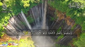 رحلة حفظ القران | الصفحة 7 - سورة البقرة الايات 48-38 مكررة سبع مرات لتسهيل الحفظ بصوت محمد هشام