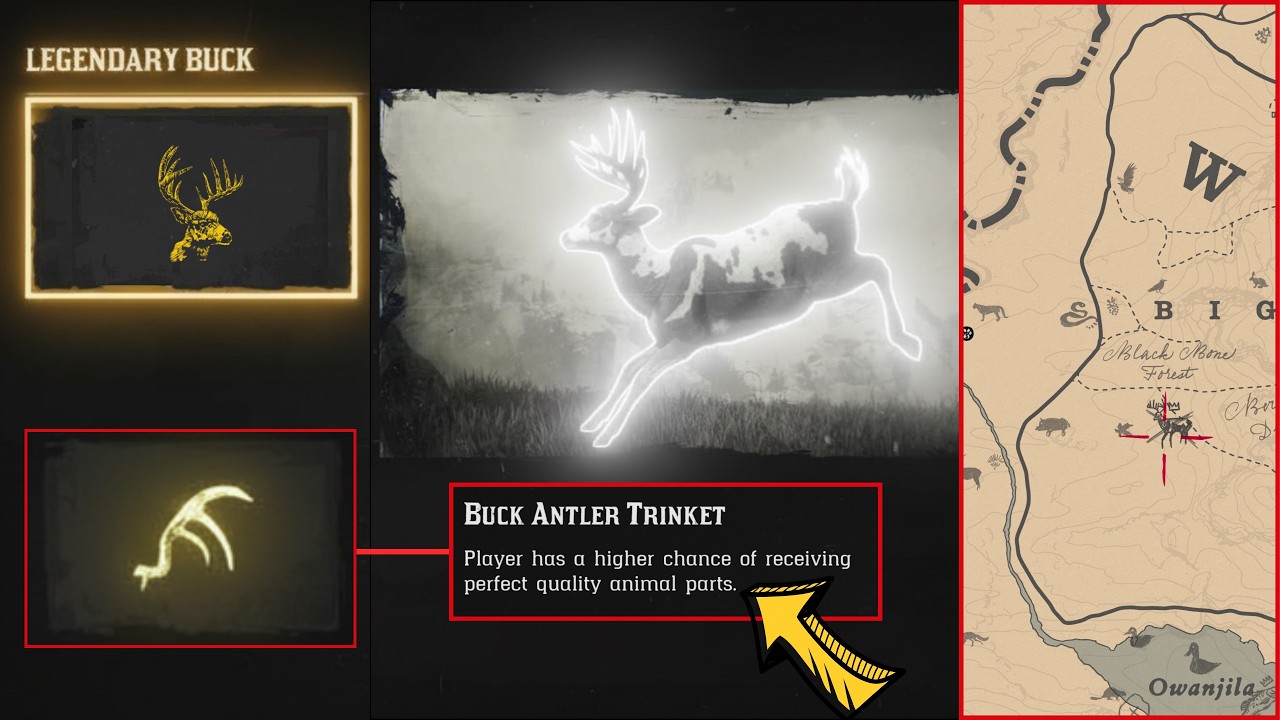 Red Dead Redemption 2: Legendary Buck [ Buck Antler Trinket ] - YouTube