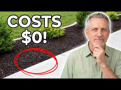 7 FREE Ways to Make Your Yard Look Expensive