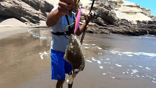 MIRA la PESCA del MEDIO PEZ ( LENGUADO)-con SEÑUELO LETAL