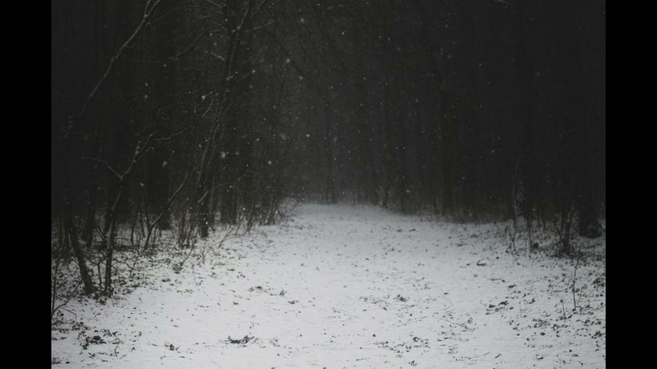 Впр после ночной вьюги лес. Страшный зимний лес. Мрачная зима. Мрачный зимний лес. Темный снежный лес.