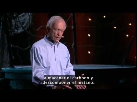 Video: ¿Cómo reverdecer los desiertos del mundo y revertir el cambio climático, Allan Savory?