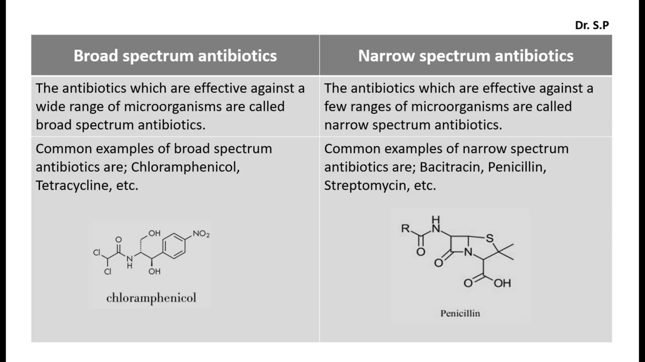 Difference Between Broad Spectrum Antibiotics And Narrow Spectrum Difference Between Broad Spectrum Antibiotics And Narrow Spectrum
