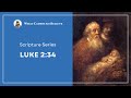 Explaining Luke 2:34 - “This child is set for the fall, and for the resurrection of many in Israel.”