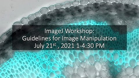 ImageJ Workshop Part 1: Guidance for Image Manipulation.