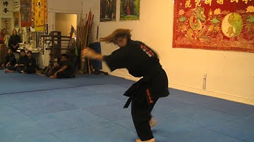 Pan Jia Kung Fu 潘家神拳 - Mystic Qi Gong