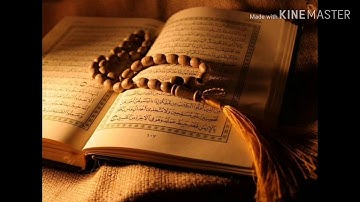 سورة الملك الشيخ ماهر المعيقلي مكررة 4 مرات
