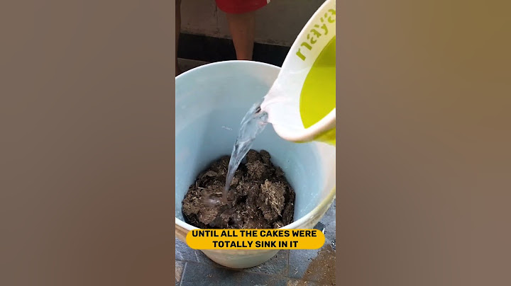 Making Cow Dung Liquid Fertilizer | #plantcare