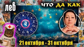 картинка: Лев | Прогноз с 21 по 31 октября