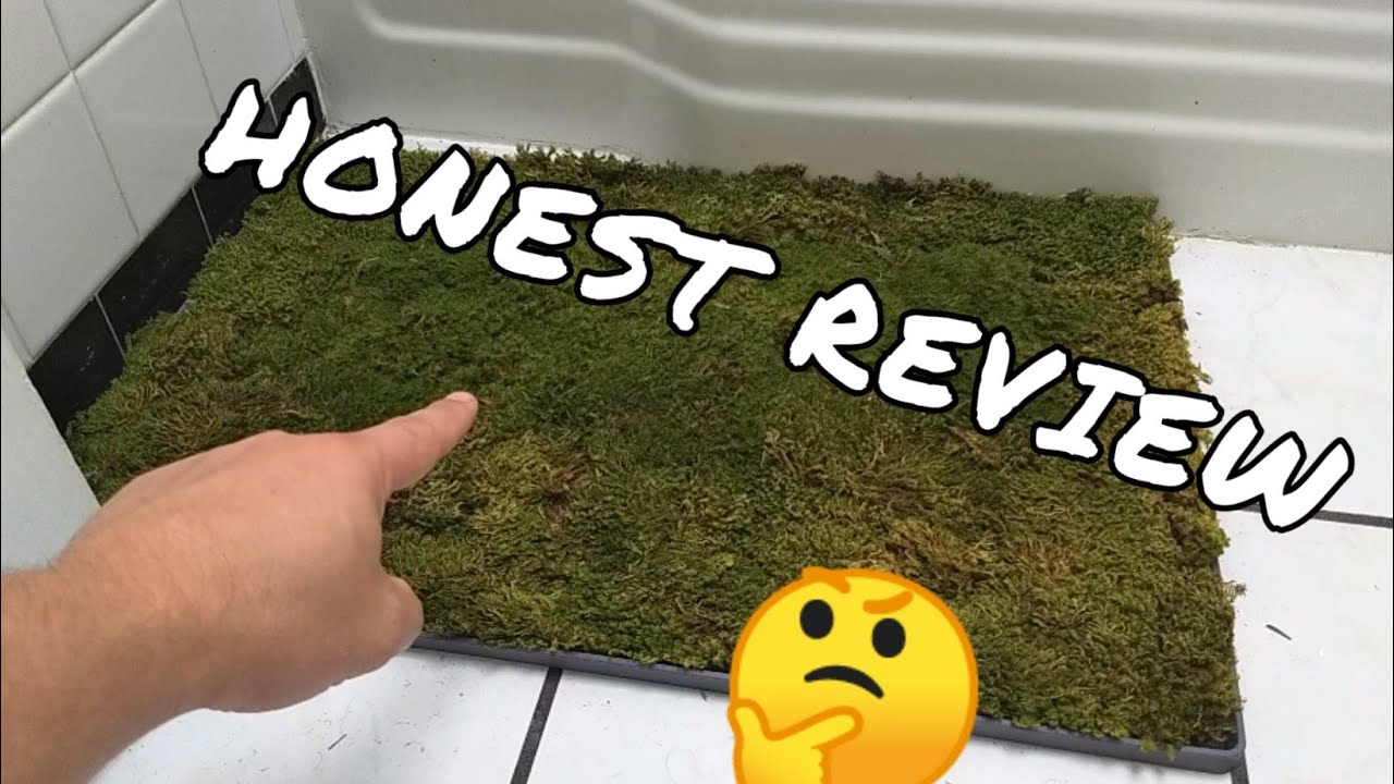 This Moss Shower Mat Lets You Dry Your Feet On Natural Living Moss When  Exiting The Shower