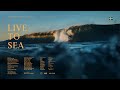 LIVE TO SEA - The Movie // A Swedish Surf Saga