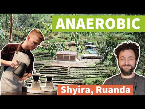 Kaffee des Monats: Shyira Anaerobic | Abo-Stream diesen Monat öffentlich