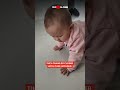 The baby adorably chases an insect during a curious floor adventure | WooGlobe