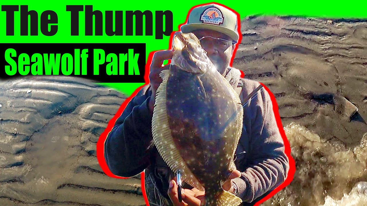 The Thump Seawolf Park | Flounder Wade Fishing Galveston Texas - YouTube