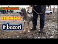 BESHBOLA IT BOZORI Fargona