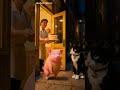 Hero Cat Saves Piglet’s Coin from Sneaky Mouse! 🐱🐭🐖 #Shorts #FunnyShorts #Funny #Cat #Pig #Mouse