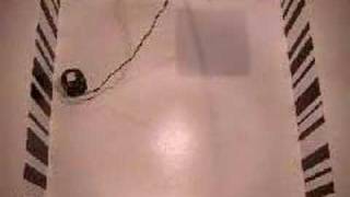 Evolved Khepera displaying vision-based collision avoidance