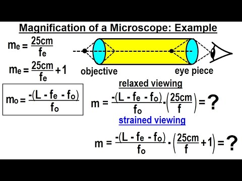 Video: Kāds ir mikroskopa acs lēcas palielinājums?