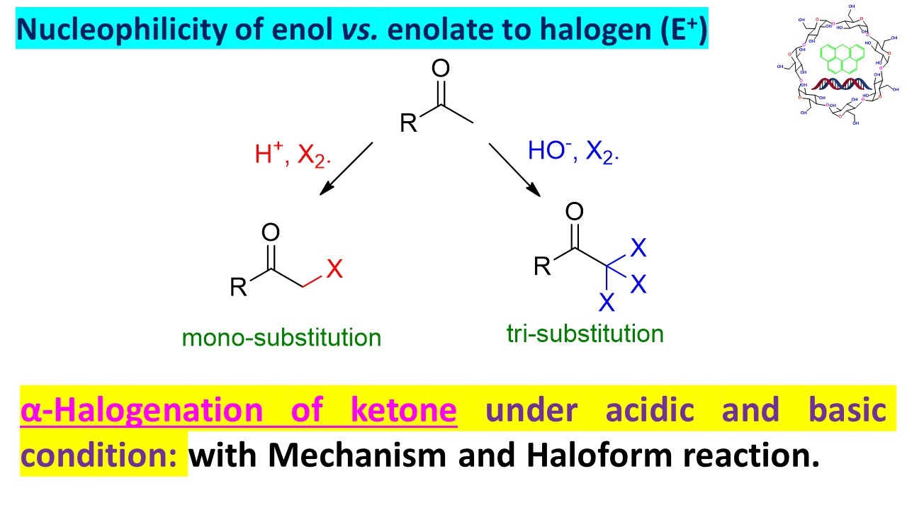 Alpha halogenation Of Ketone Under Acidic And Basic Conditions YouTube alpha-halogenation-of-ketone-under-acidic-and-basic-conditions-youtube