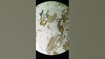 2162-16 | Apatite (PPL)