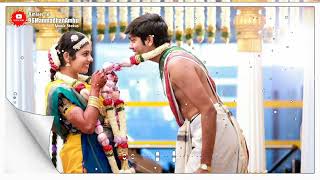       whatsapp status entertainment