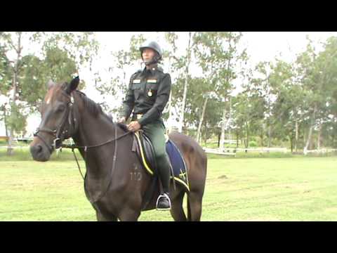 วีดีโอ: อนุสาวรีย์นักขี่ม้าสีบรอนซ์ทำมาจากอะไร