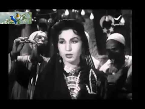 من اجمل اغانى فايزه احمد يابو الحبايب لا تزعل