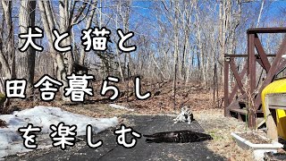 How to spend time in the garden with dogs and cats by 犬と猫と小さな家   Country Life in Hokkaido 2,683 views 1 month ago 10 minutes, 26 seconds