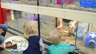 noahs ark 15 second spot 1080p