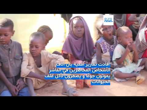 معاناة إنسانية في اليمن: نقص الغذاء والمياه